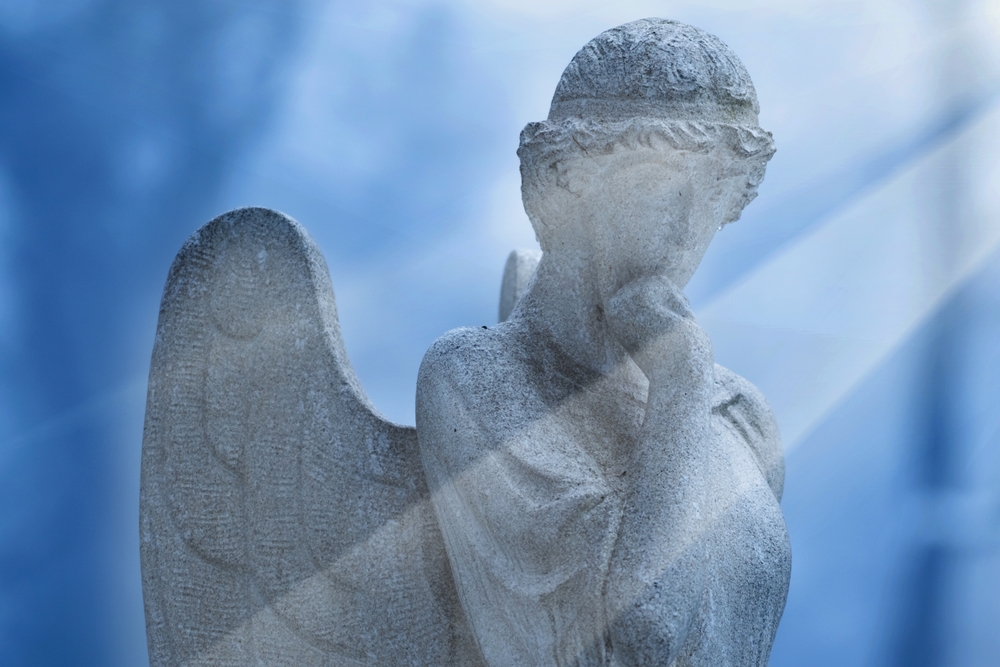 History of guardianship
